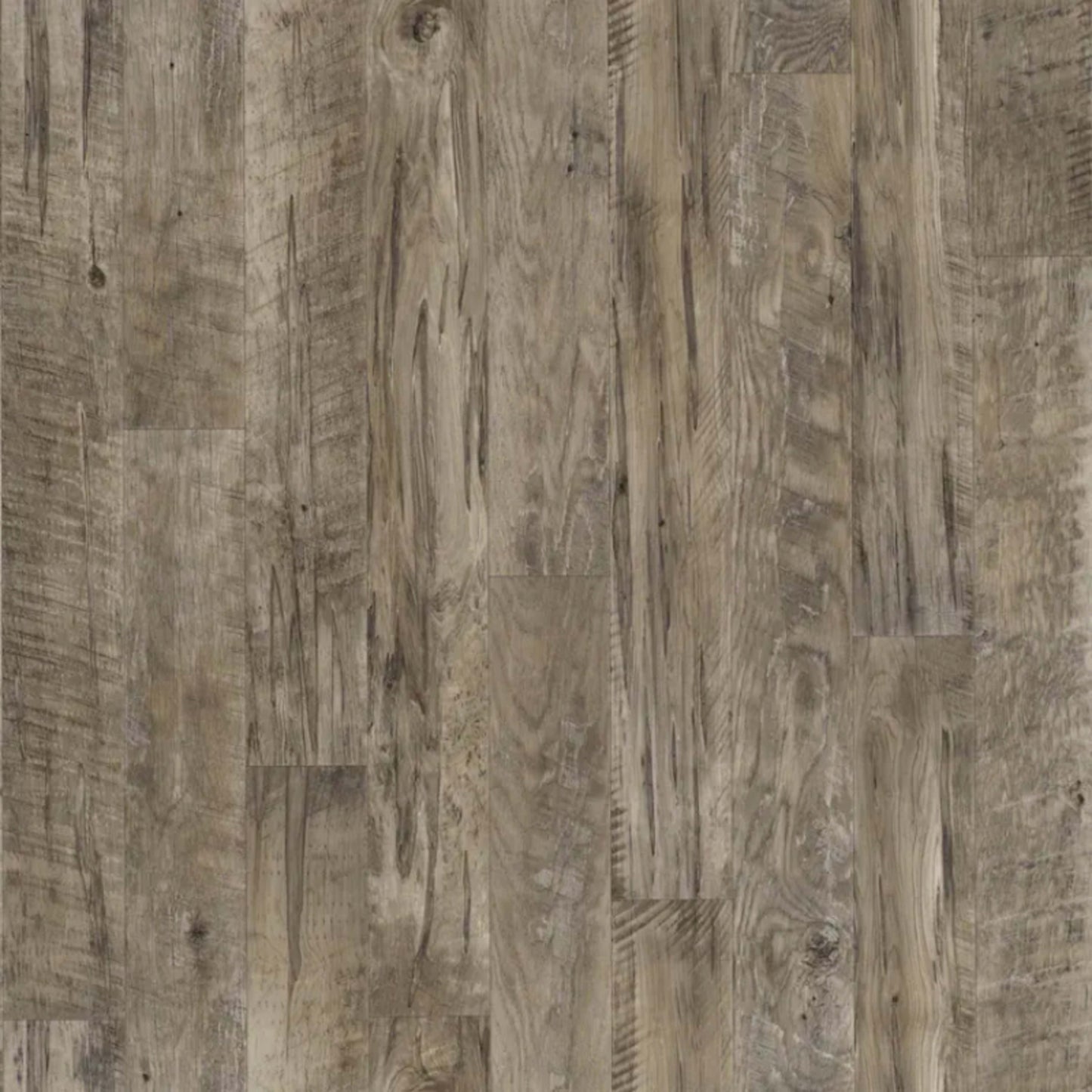 Black Mountain Oak in Coal - Gold Vinyl Sheet Goods