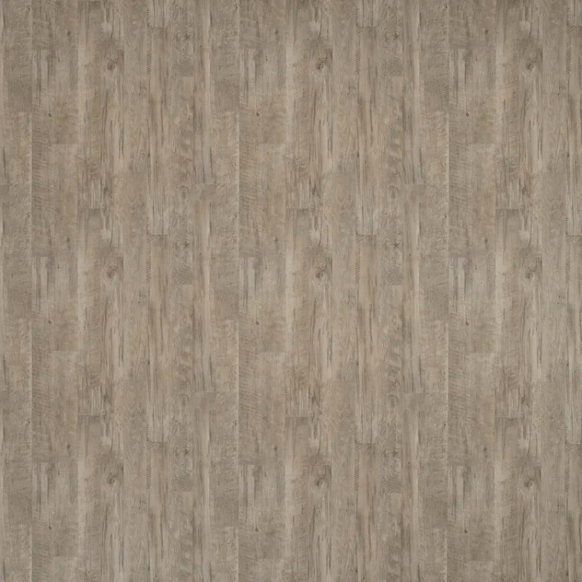 Black Mountain Oak in Pebble - Platinum Vinyl Sheet Goods