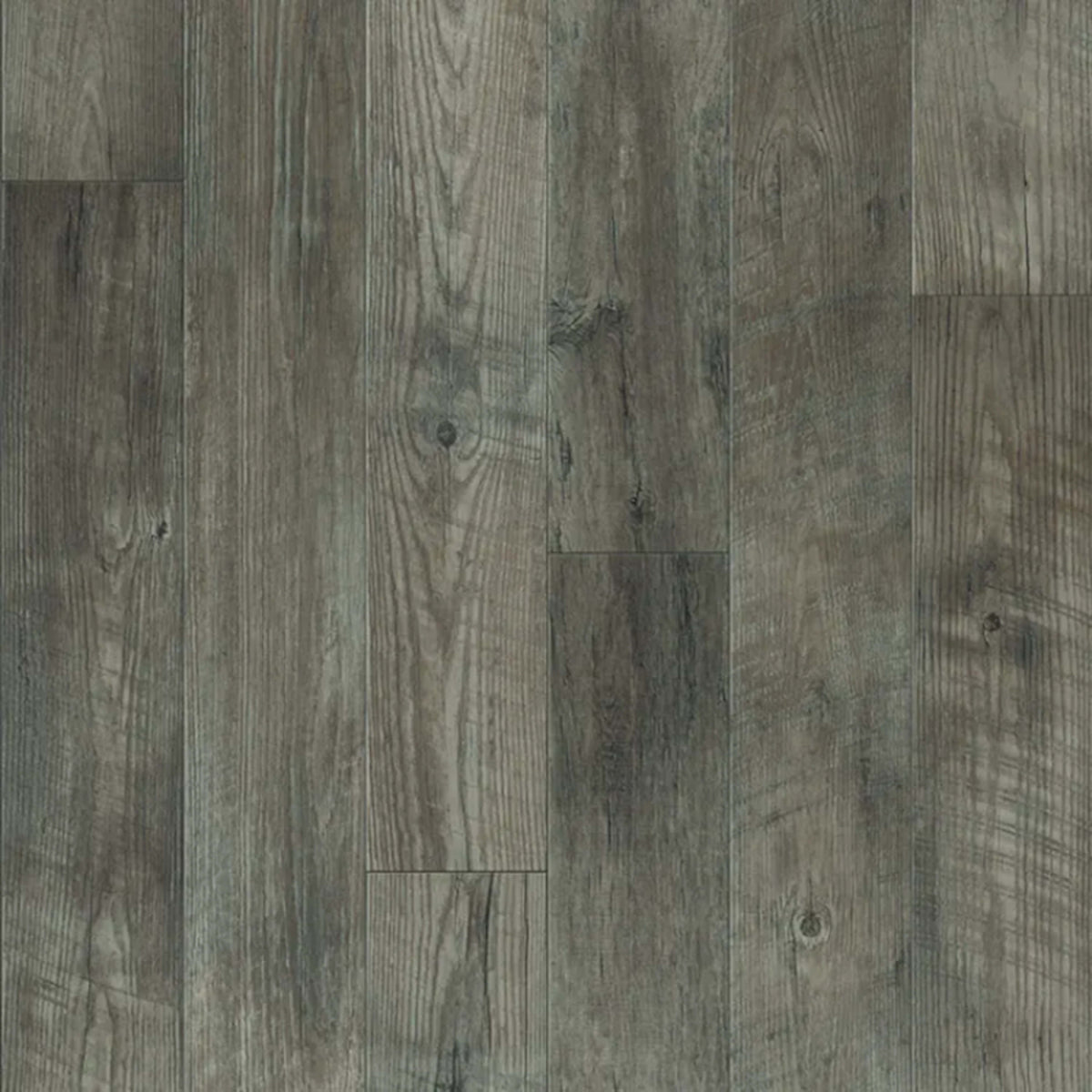 Newport in Driftwood - Gold Vinyl Sheet Goods