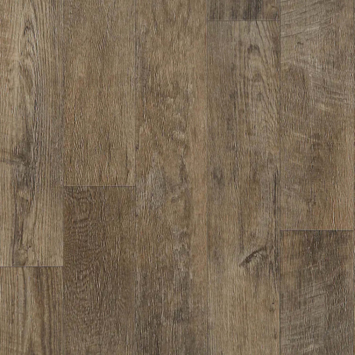 Newport in Kindle - Platinum Vinyl Sheet Goods