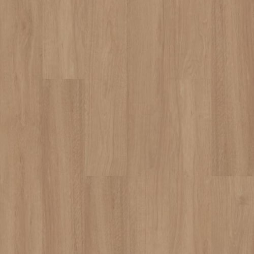 PANTHEON HD+ NATURAL BEVEL