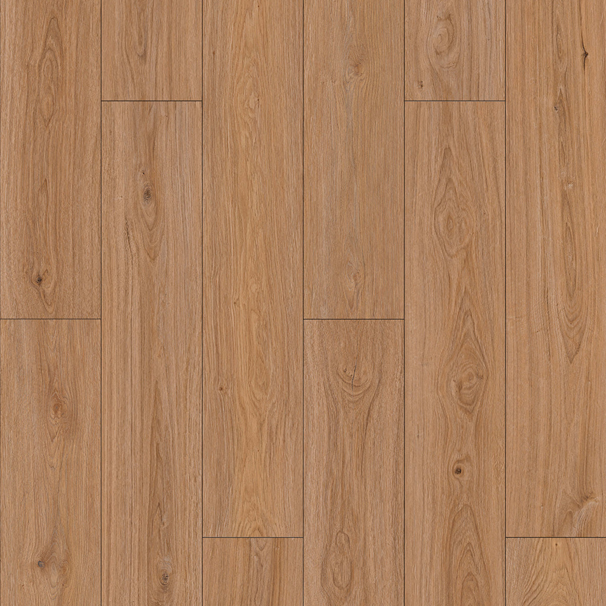 Resurge in Winston Oak Laminate
