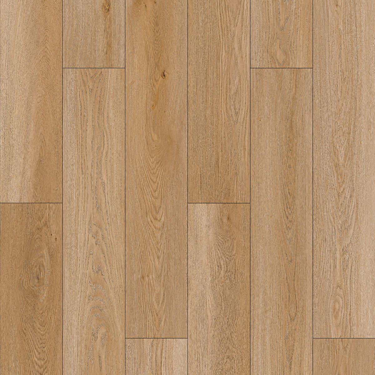 Resurge in Thompson Oak Laminate