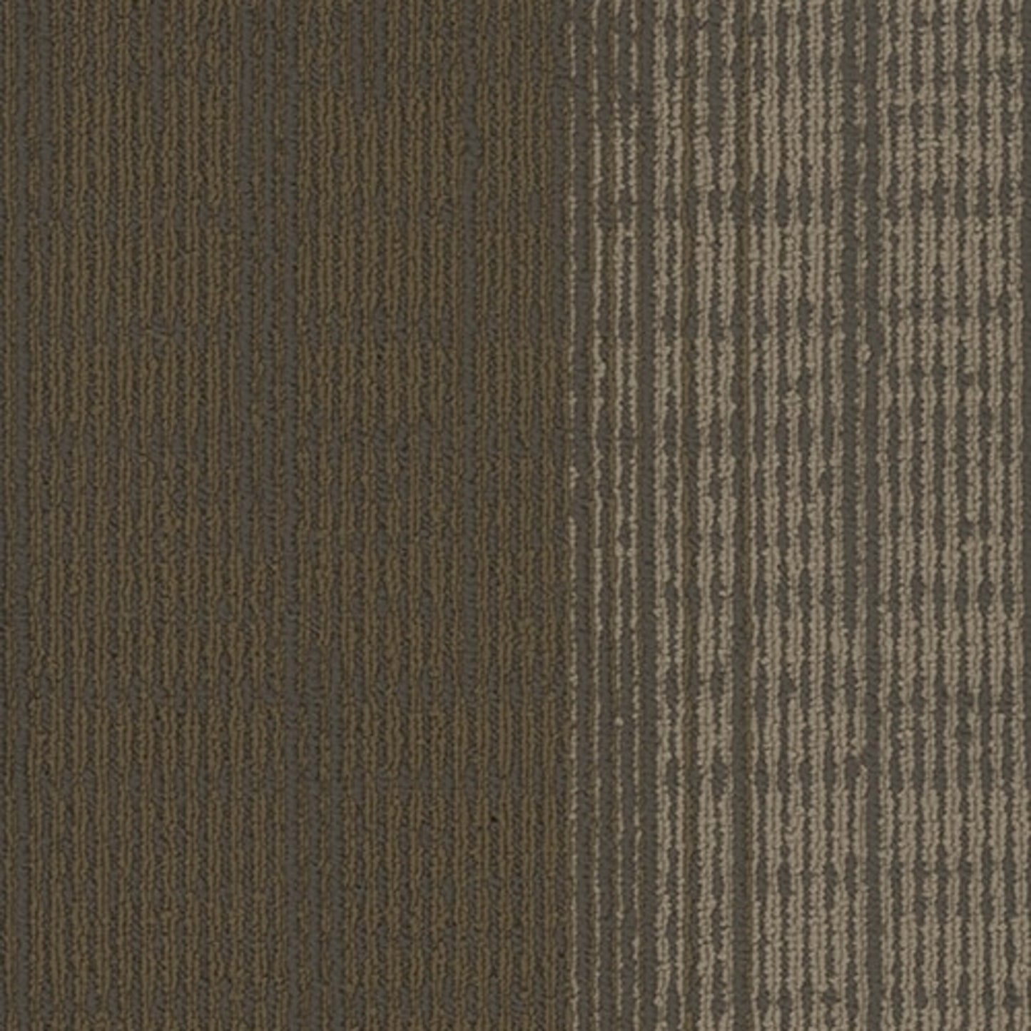 Element Plank