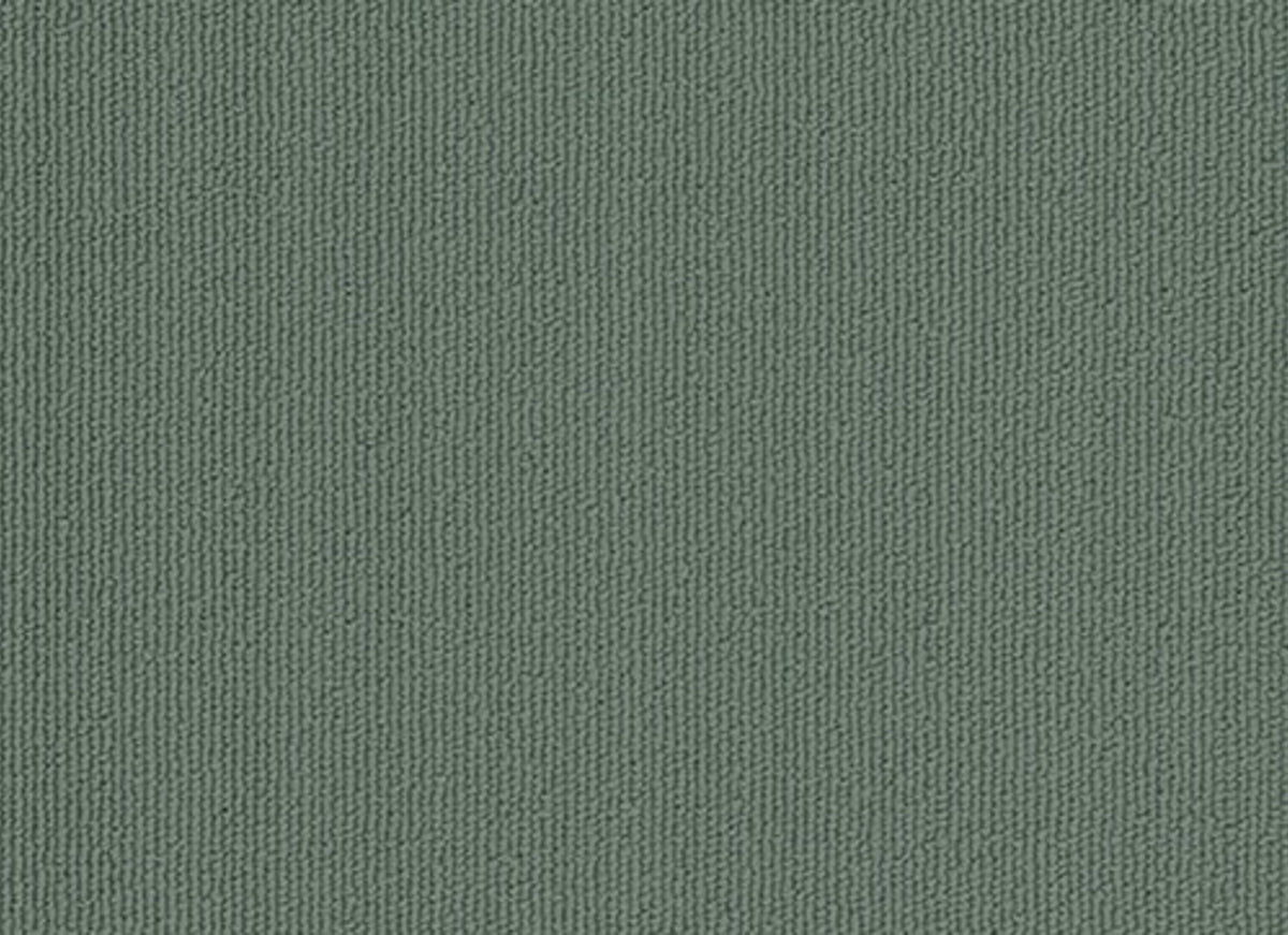 Colorburst Plank