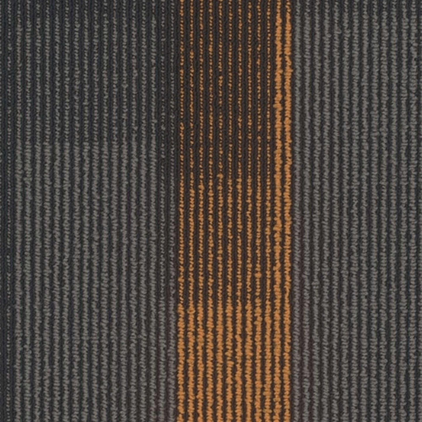 Magnify Plank