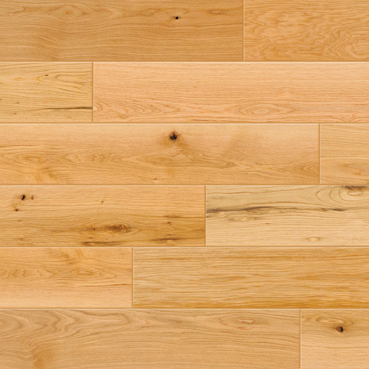 Oak Grove in Willow Hardwood
