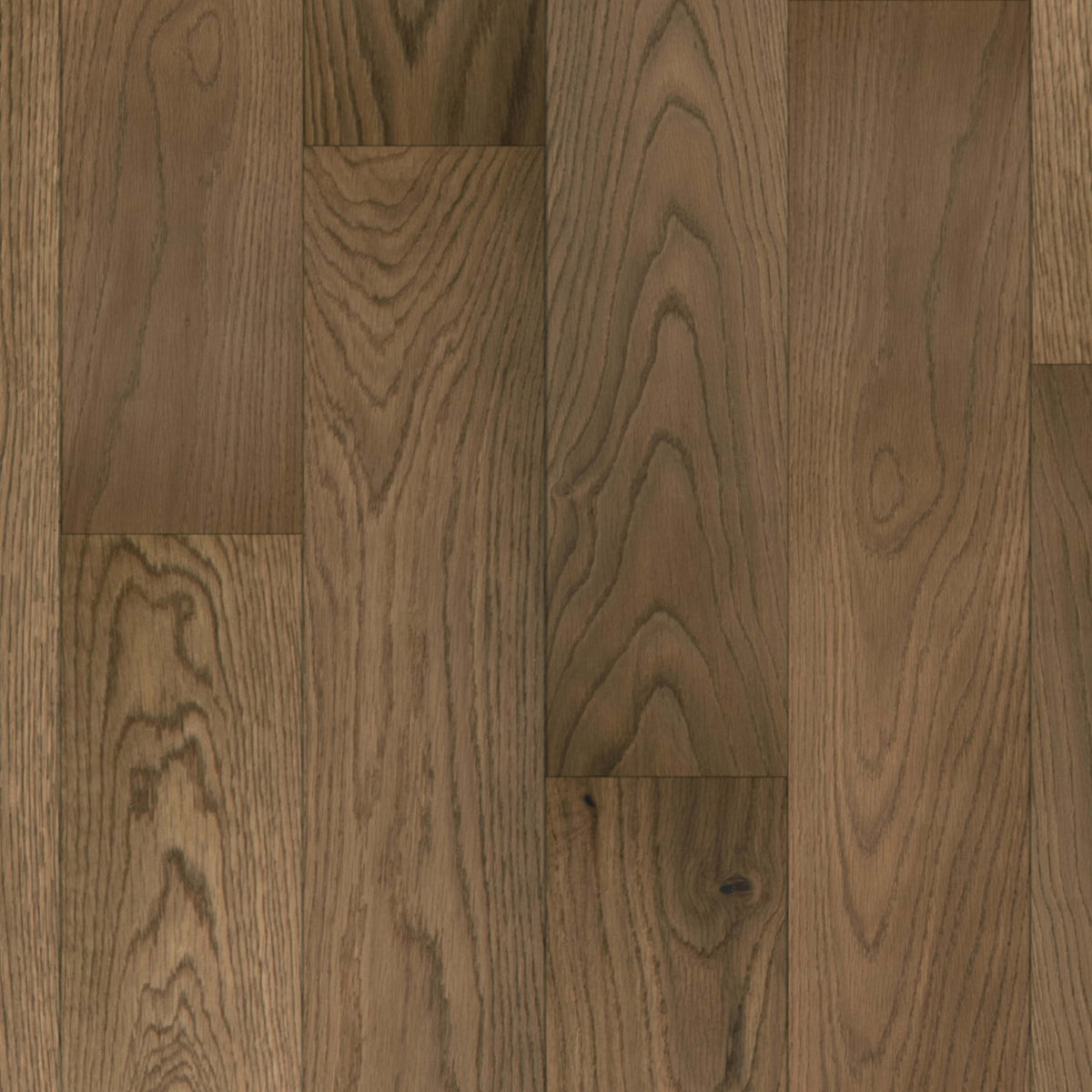 Lineage Series in Maddie Hardwood