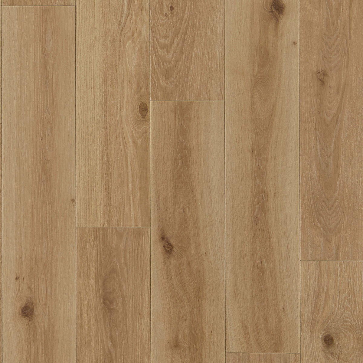 Restoration Collection - Haven in Wheat Laminate