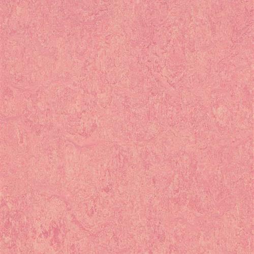 Marmoleum Real in Honey Suckle Vinyl Sheet Goods