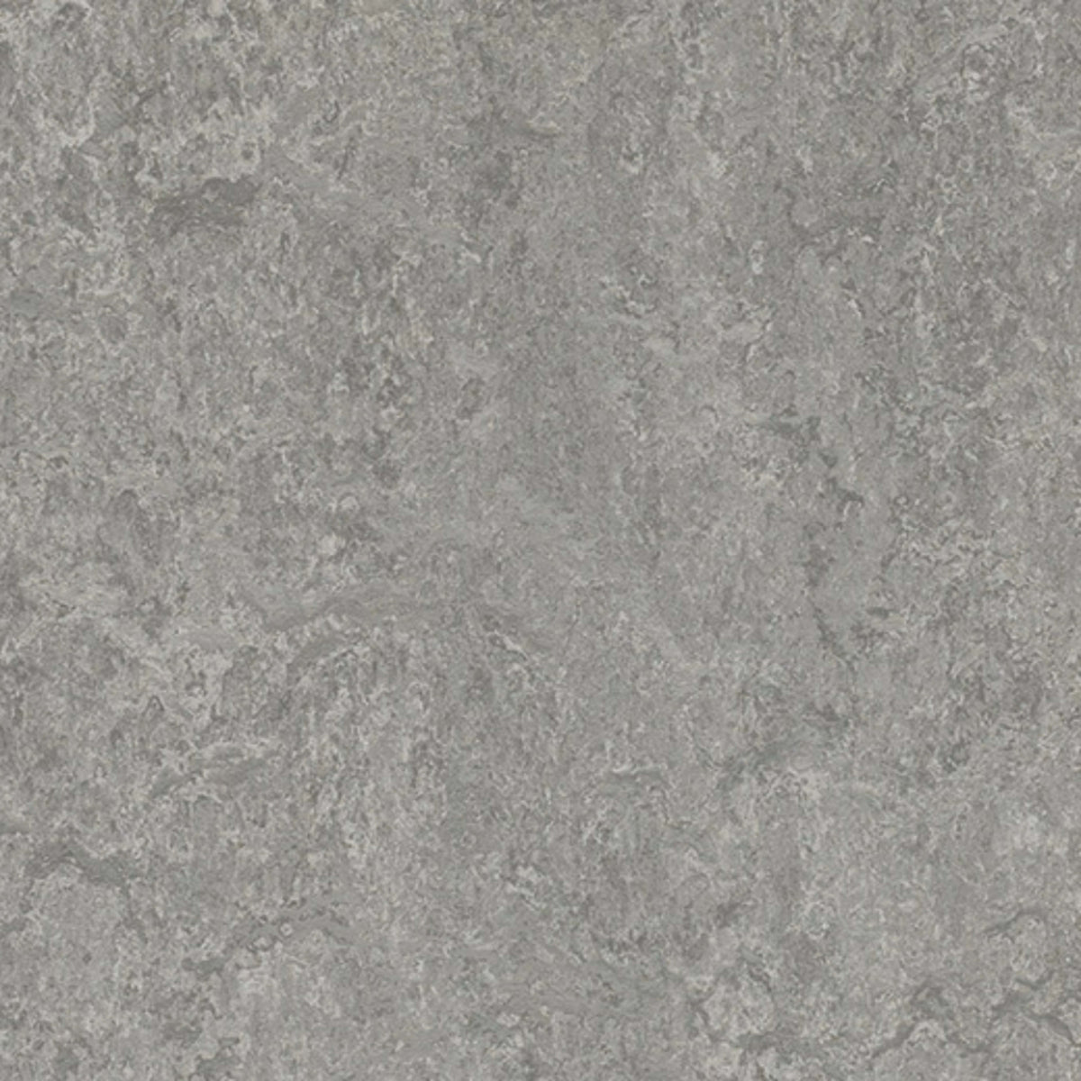 Marmoleum - Cinch LOC SEAL in Serene Grey Vinyl Sheet Goods
