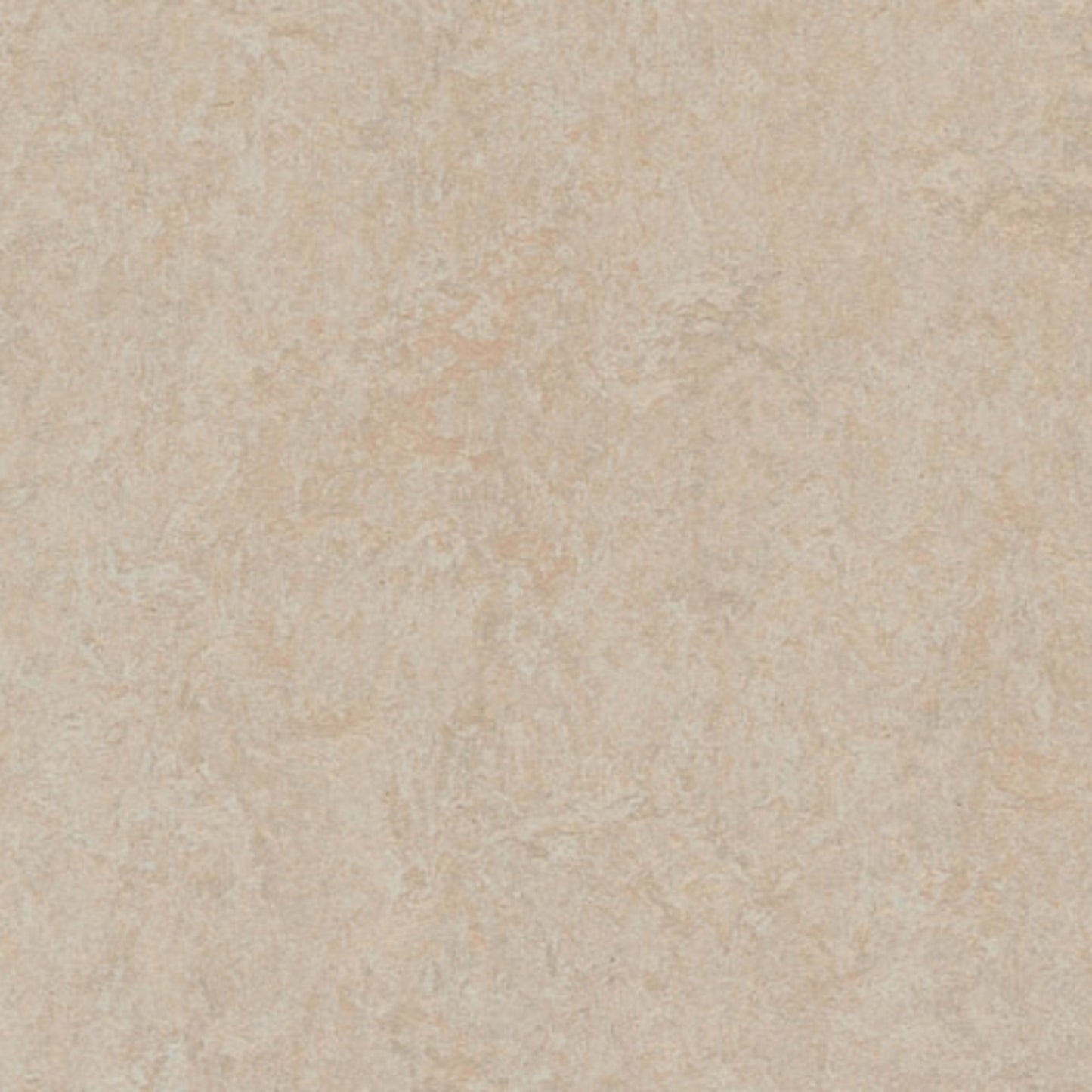 Marmoleum - Cinch LOC SEAL in Silver Birch Vinyl Sheet Goods