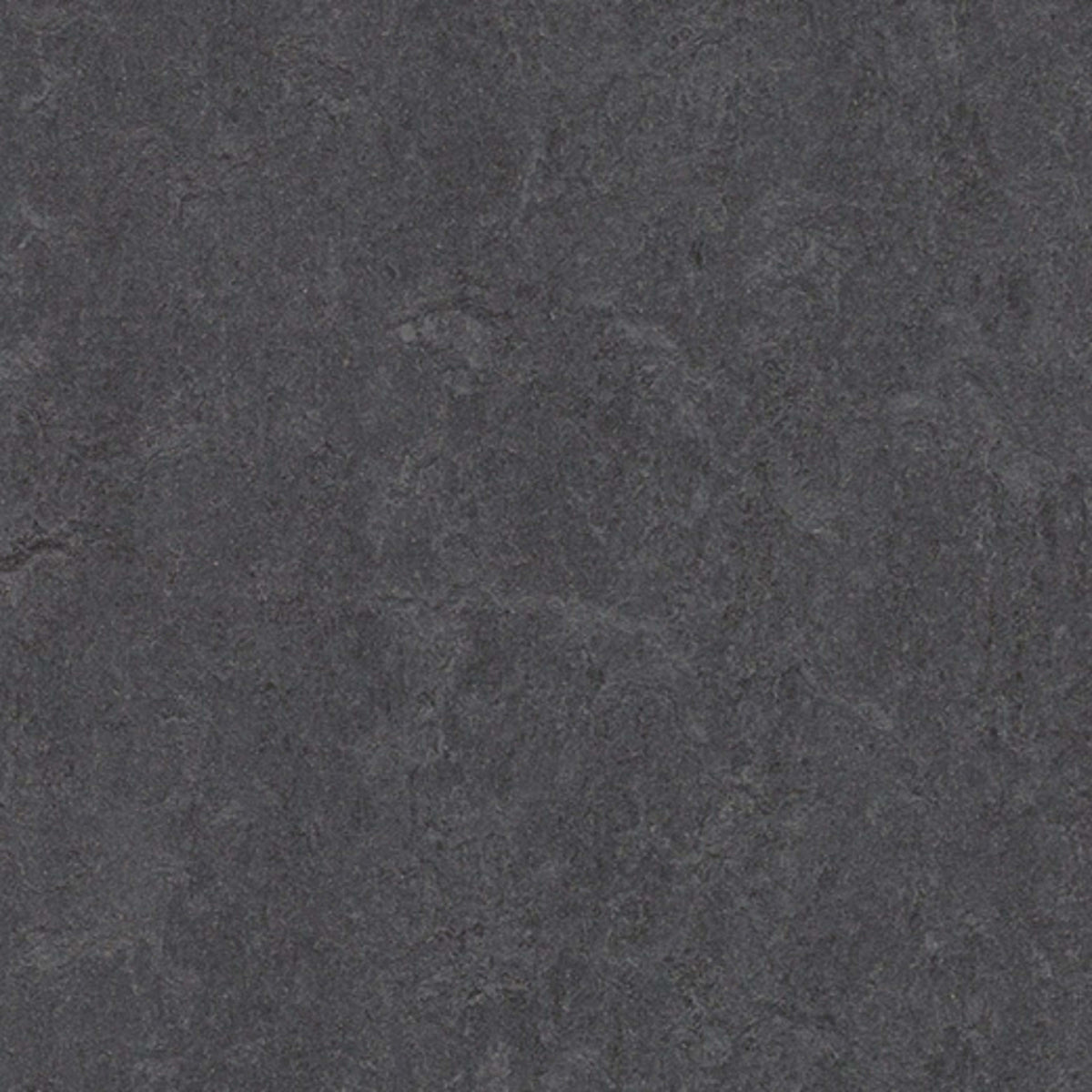 Marmoleum - Cinch LOC SEAL in Volcanic Ash Vinyl Sheet Goods