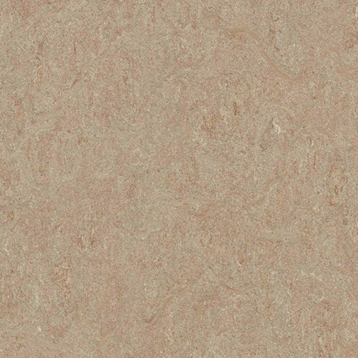 Marmoleum - Cinch LOC SEAL in Weathered Sand Vinyl Sheet Goods