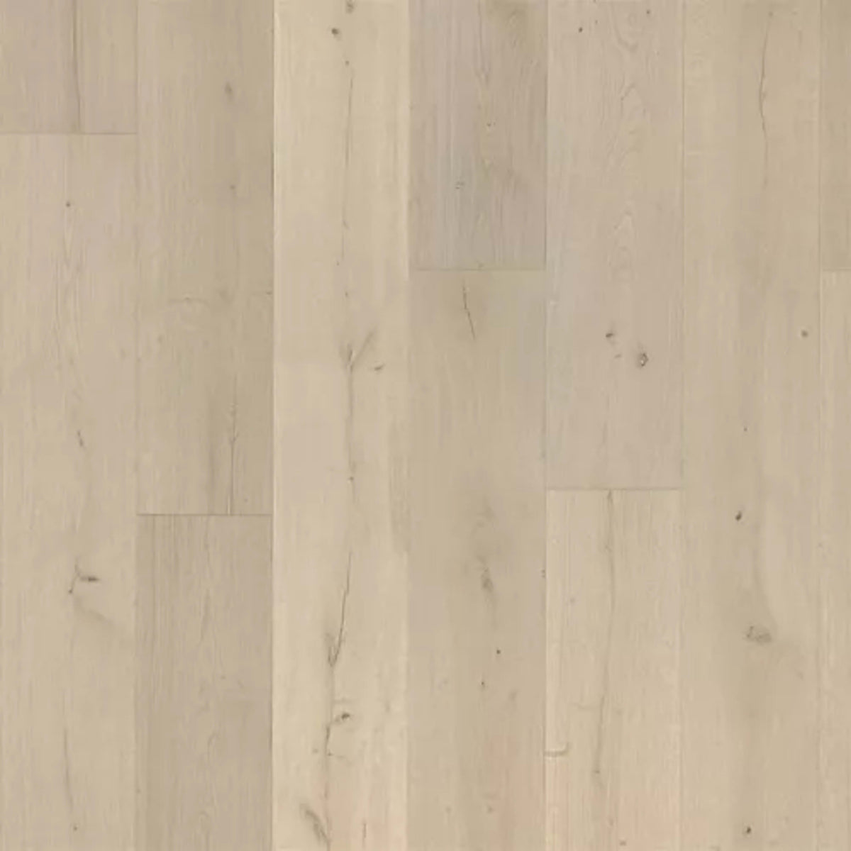 Belhancourt in Normandy Grey Oak Laminate