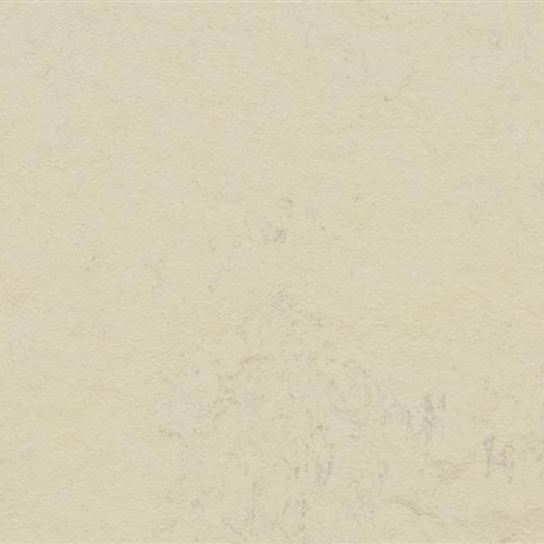 Marmoleum Concrete in Moon Vinyl Sheet Goods