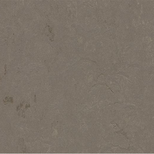 Marmoleum Concrete in Meteorite Vinyl Sheet Goods