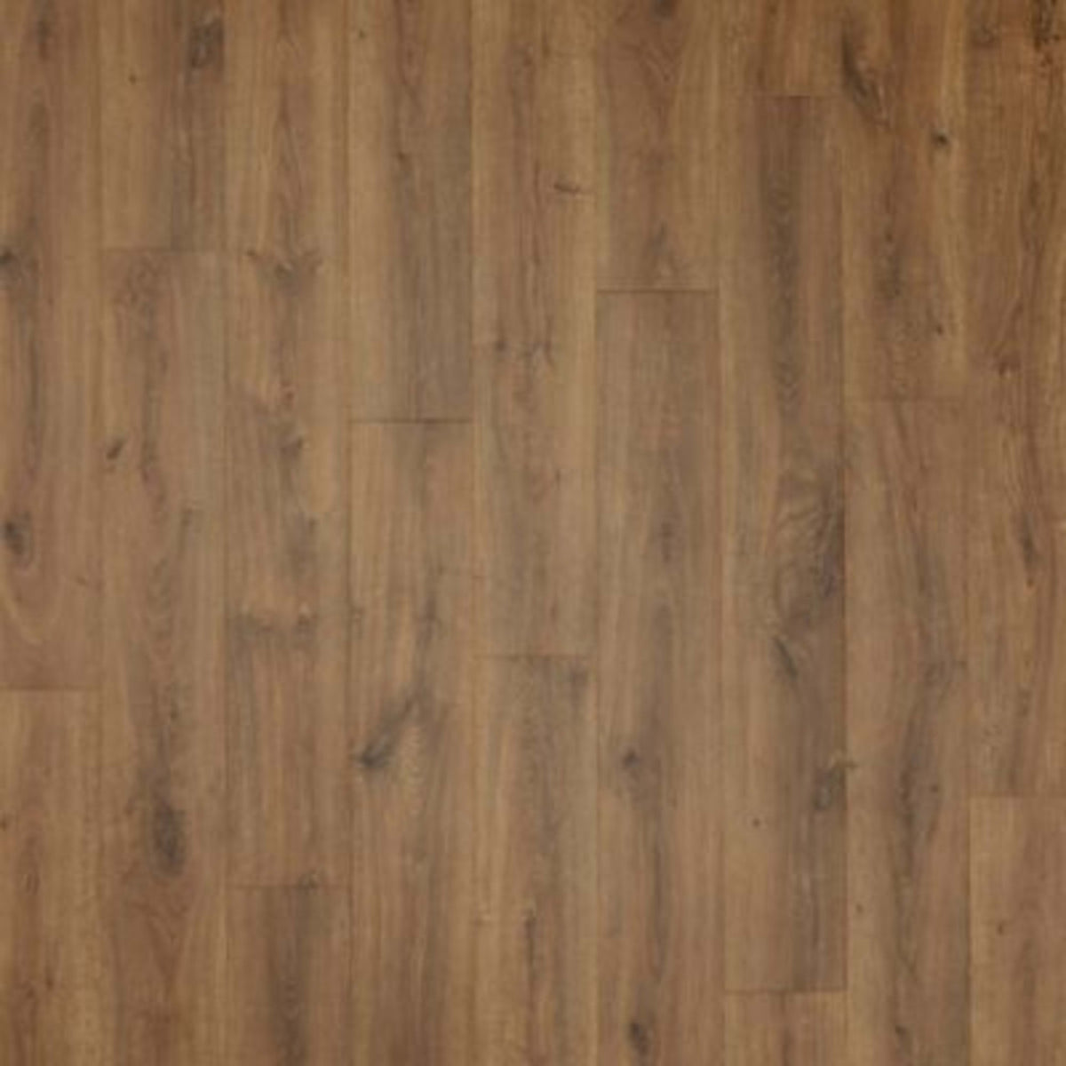 Vestia in Russet Oak Laminate