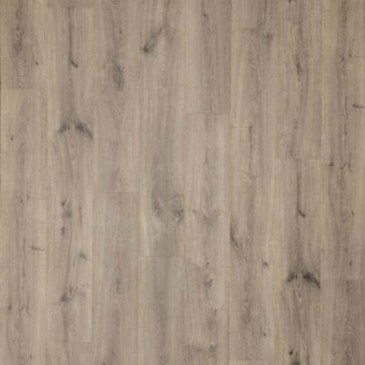 Vestia in Rocky River Oak Laminate