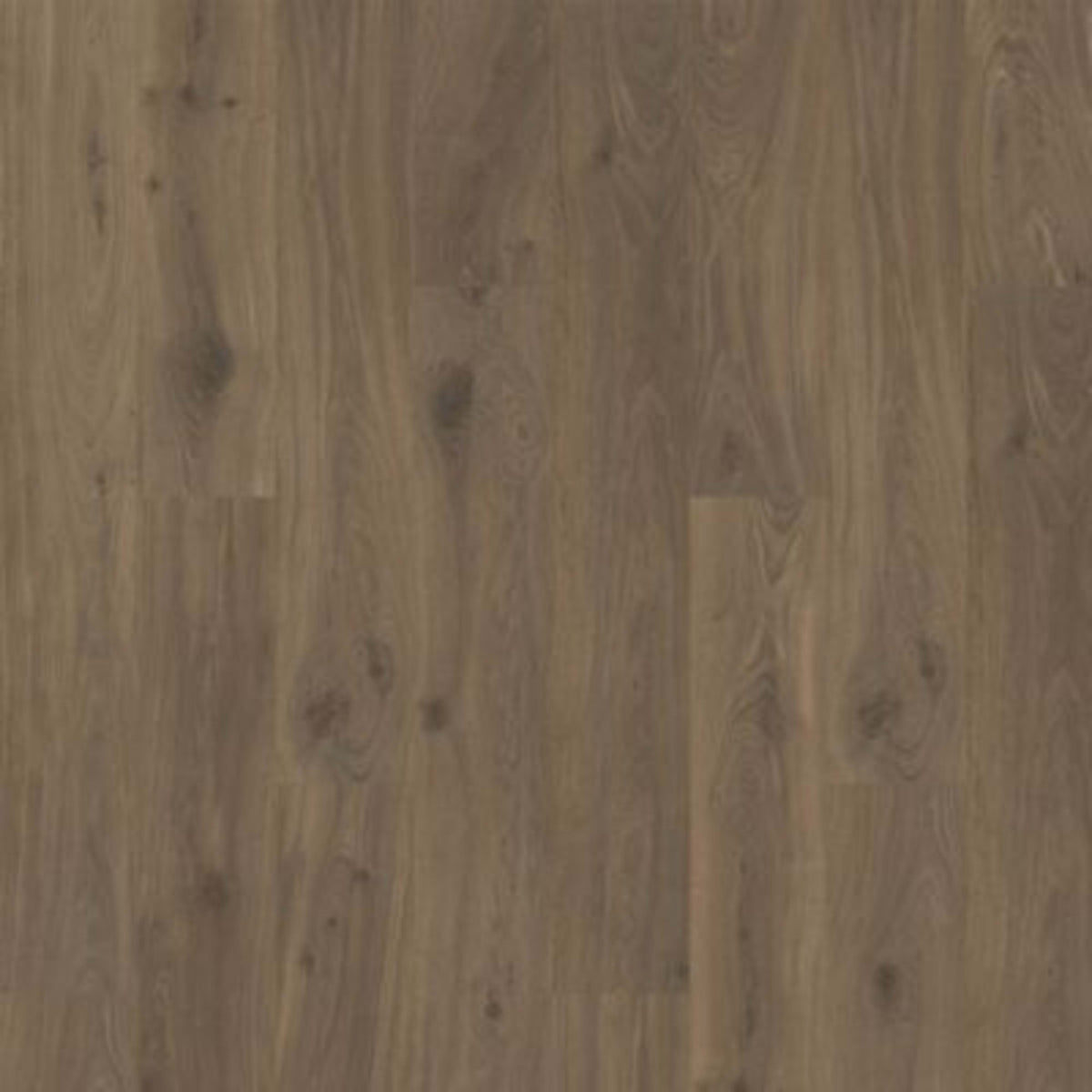 Ellicott Point in Bookcase Oak Laminate