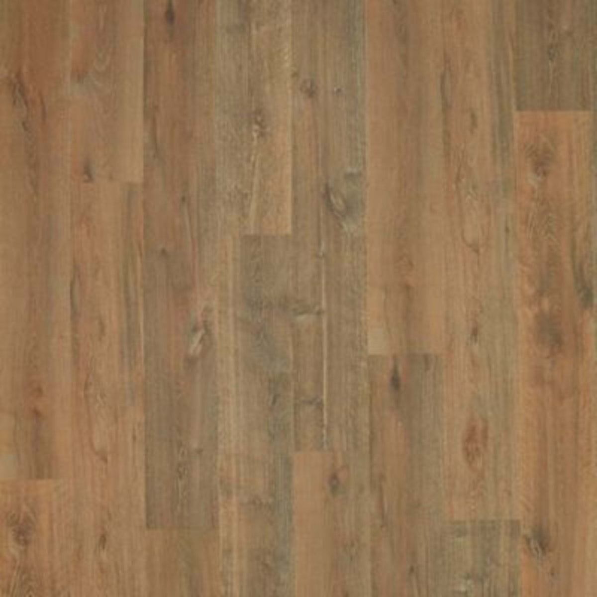 Abreeza in Tannin Oak Laminate