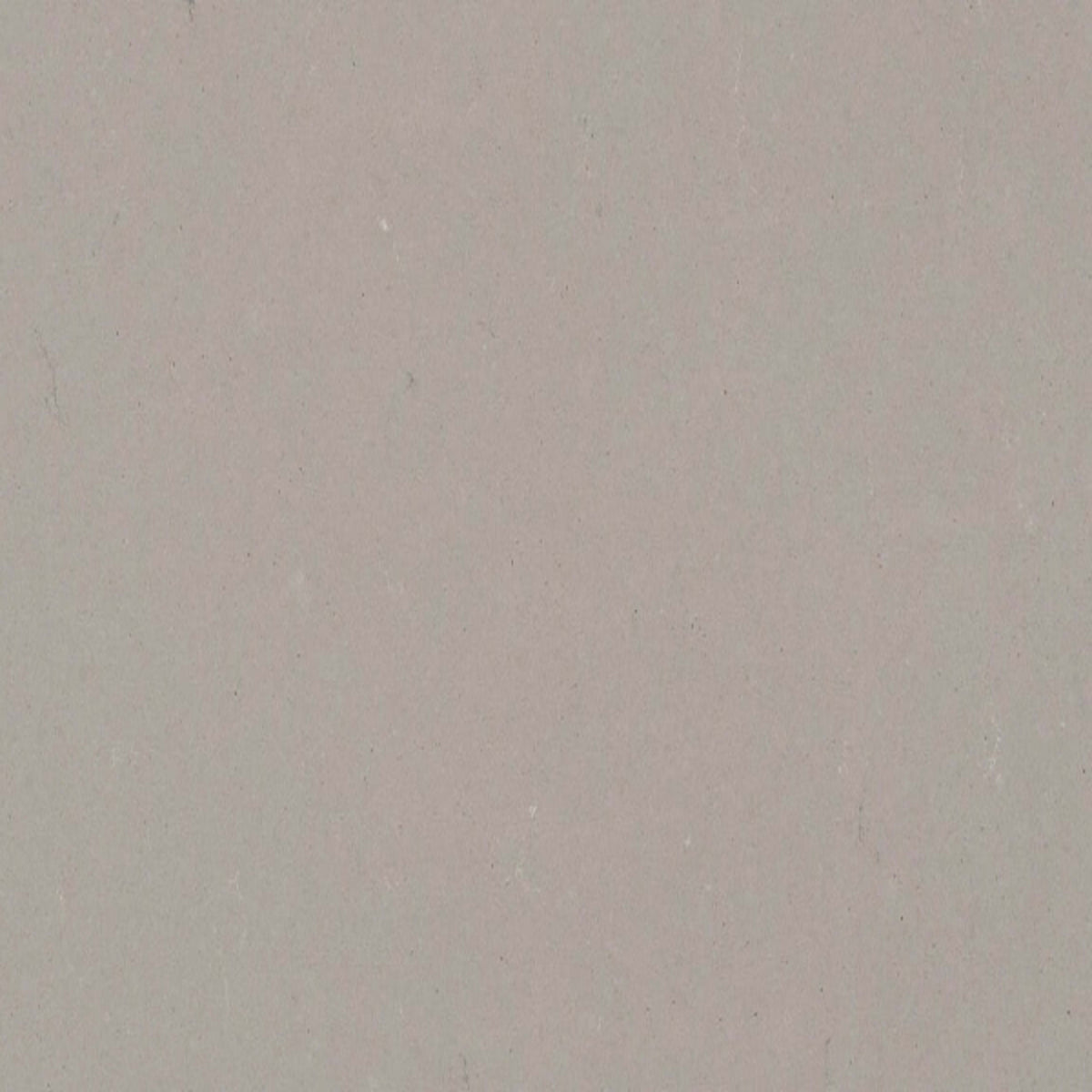 Quartz Countertop in Raw Concrete Solid Surface