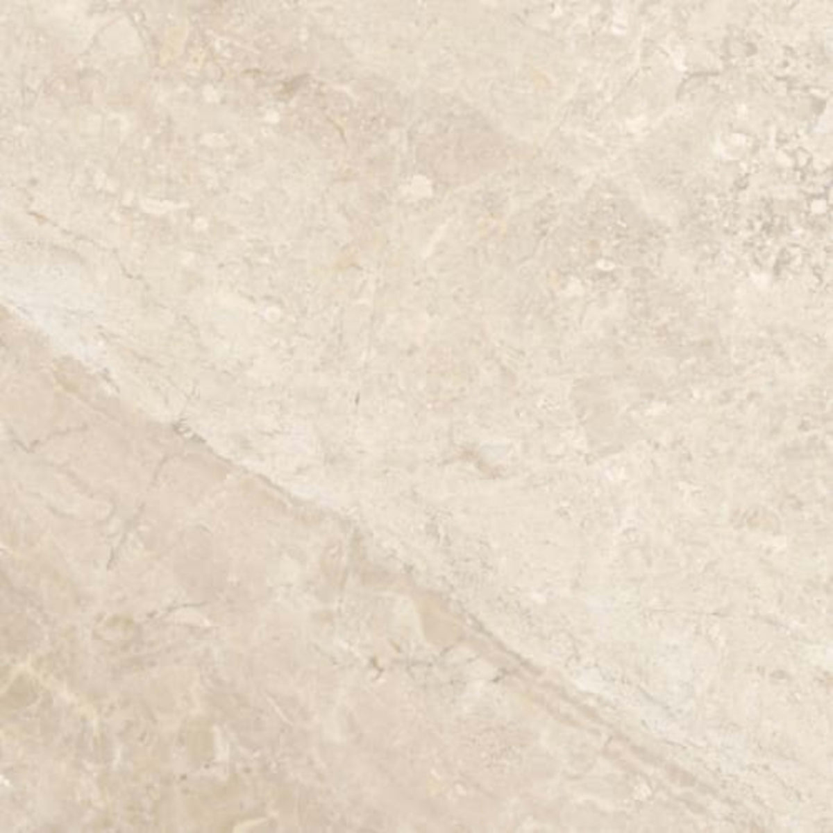 Impero Reale in Honed 12x12 Natural Stone