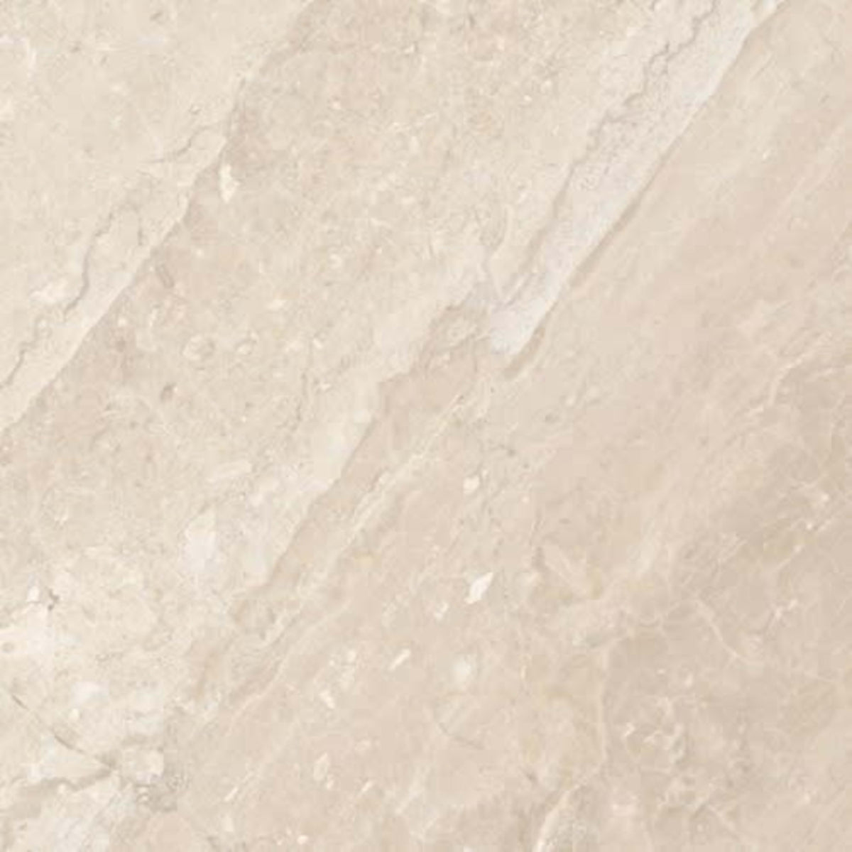 Impero Reale in Polished 12x24 Natural Stone