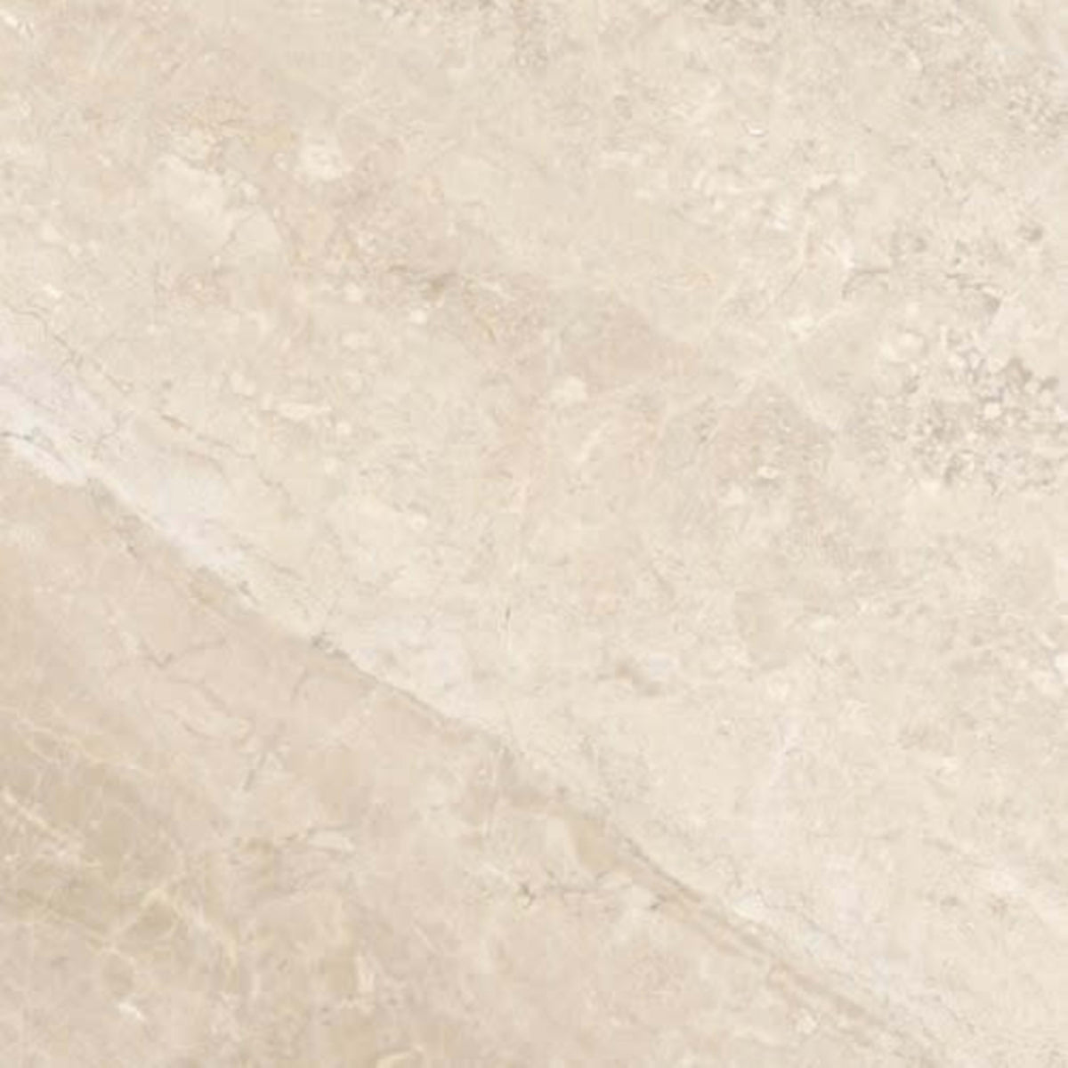 Impero Reale in Polished 18x36 Natural Stone