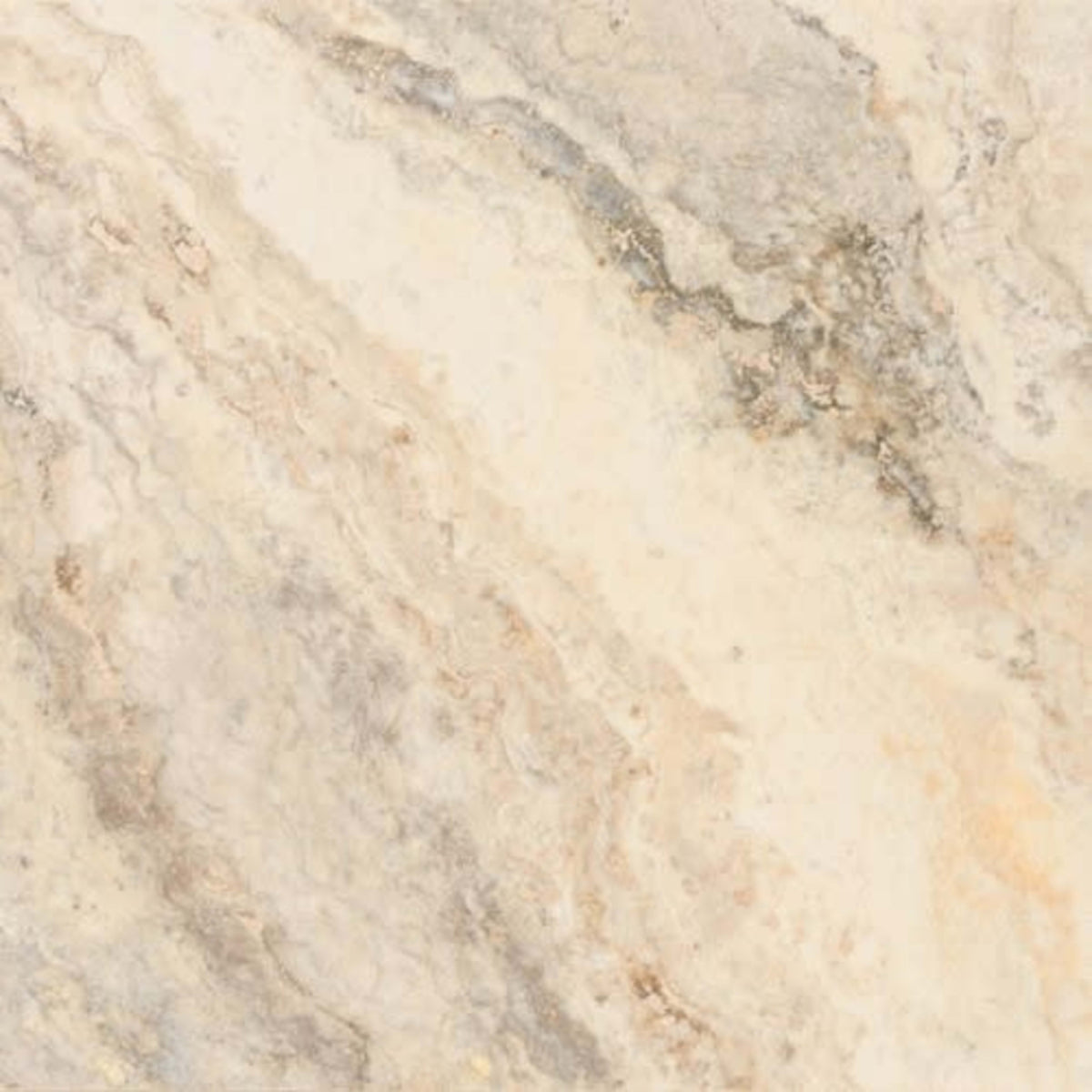 Picasso in Filled & Honed 12x24 Natural Stone
