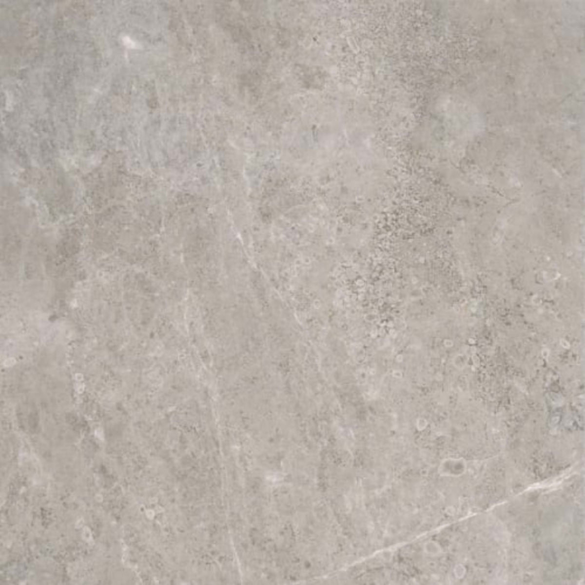 Ritz Gray in Honed 12x12 Natural Stone