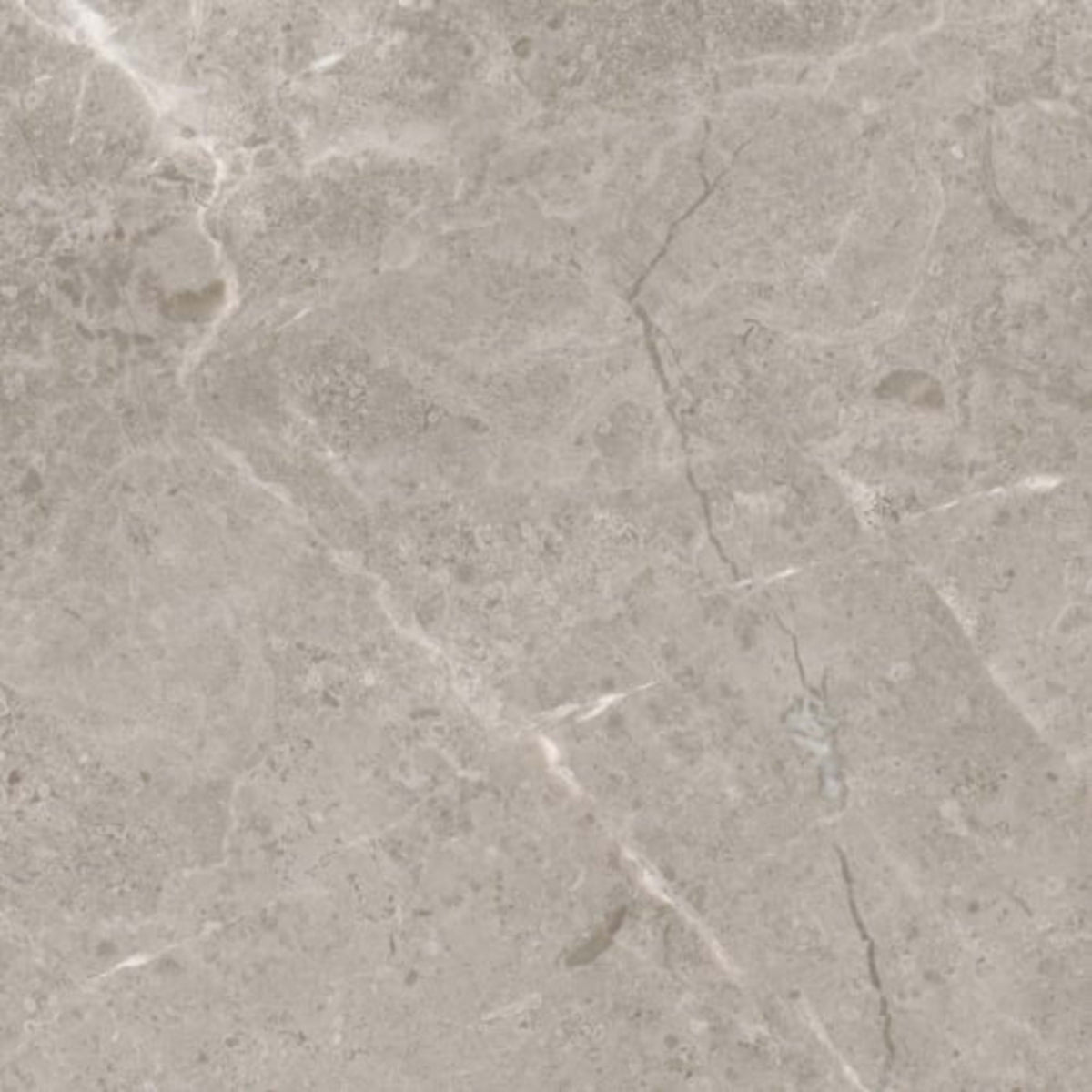 Ritz Gray in Honed 12x24 Natural Stone