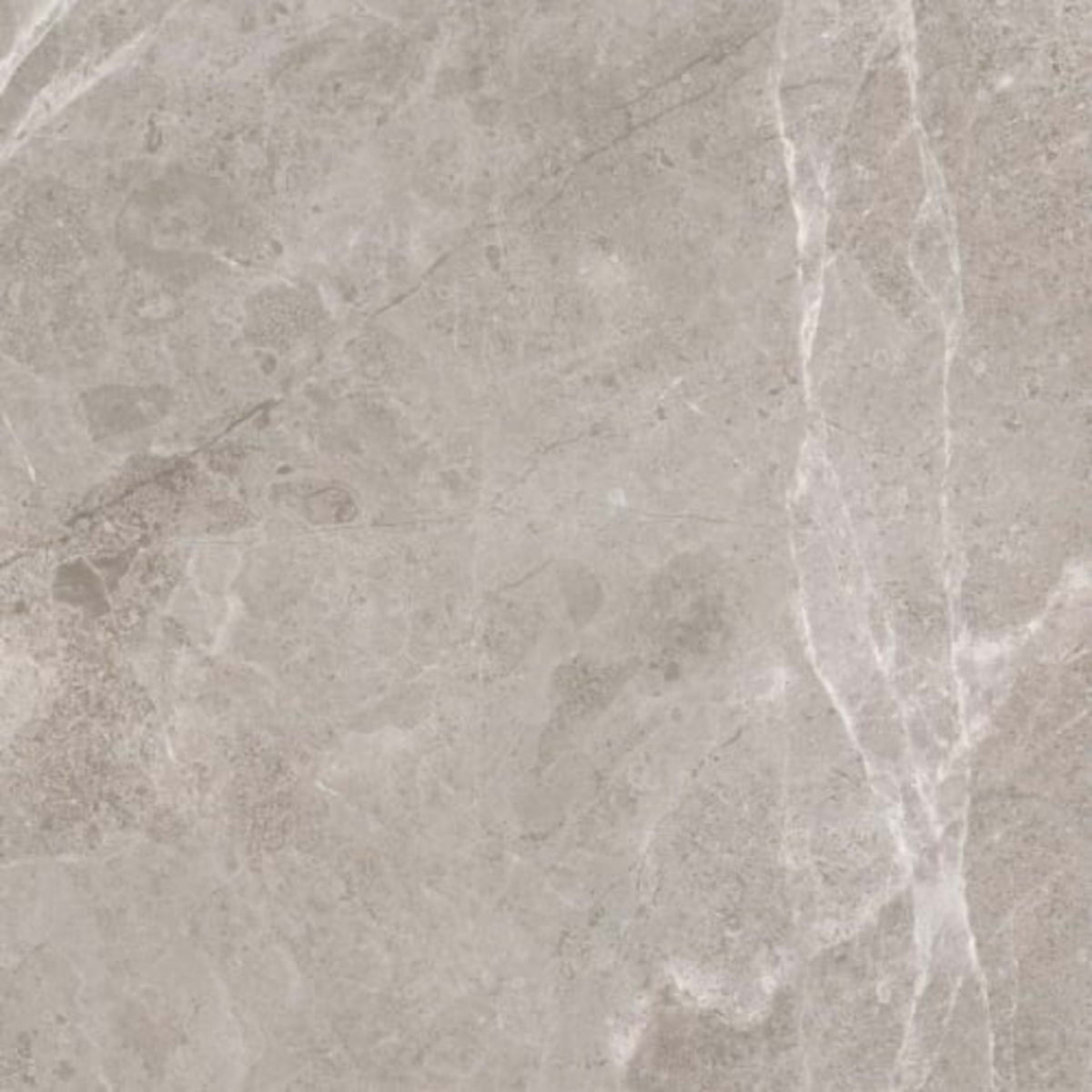 Ritz Gray in Honed 18x36 Natural Stone