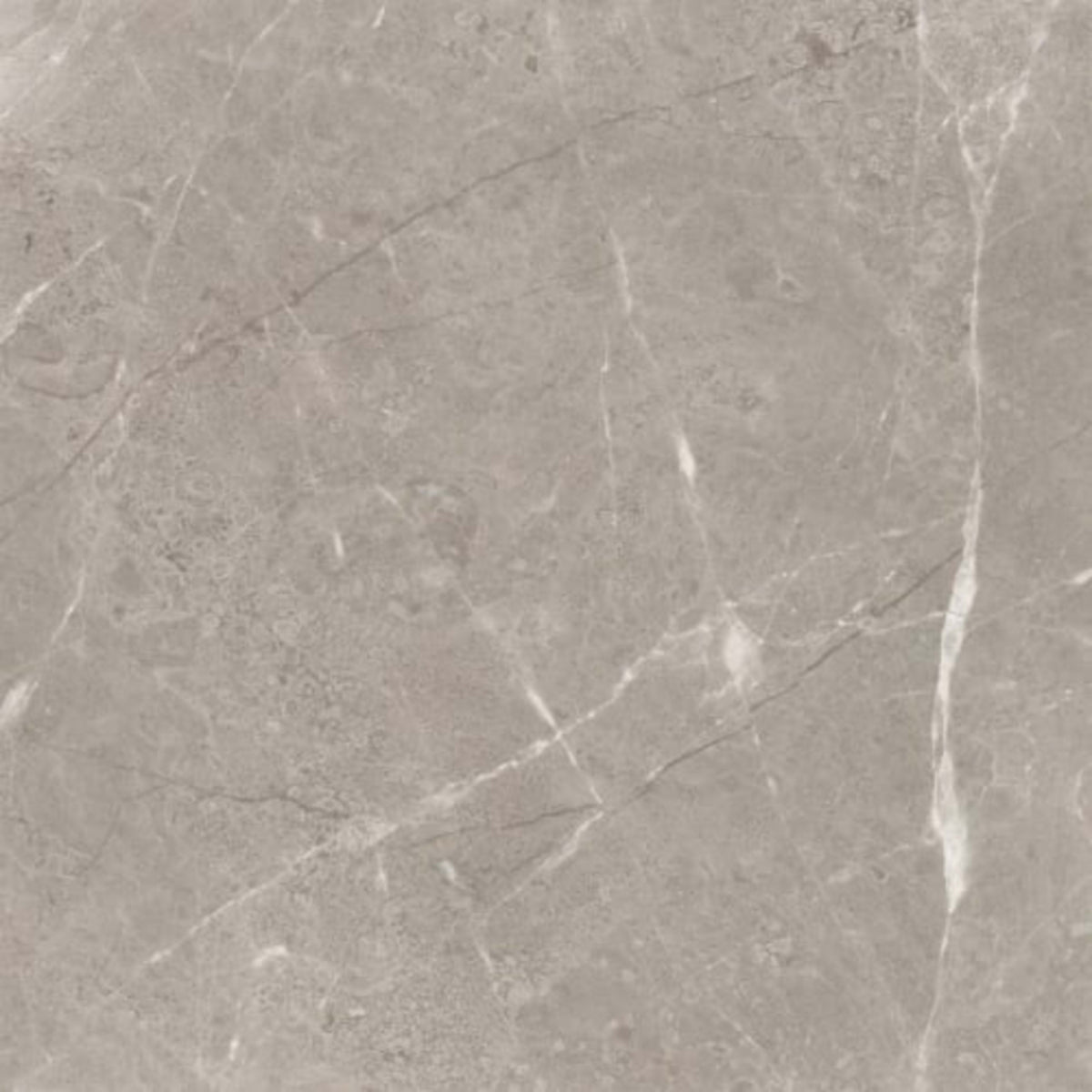 Ritz Gray in Honed 24x24 Natural Stone