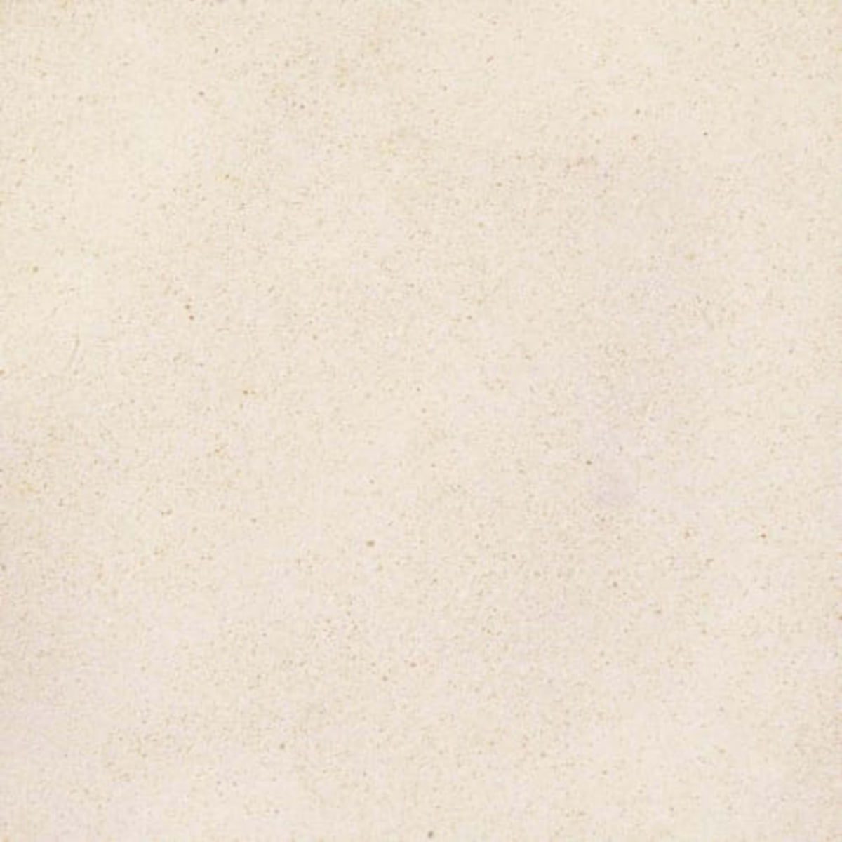 Serene Ivory in Honed 12x12 Natural Stone