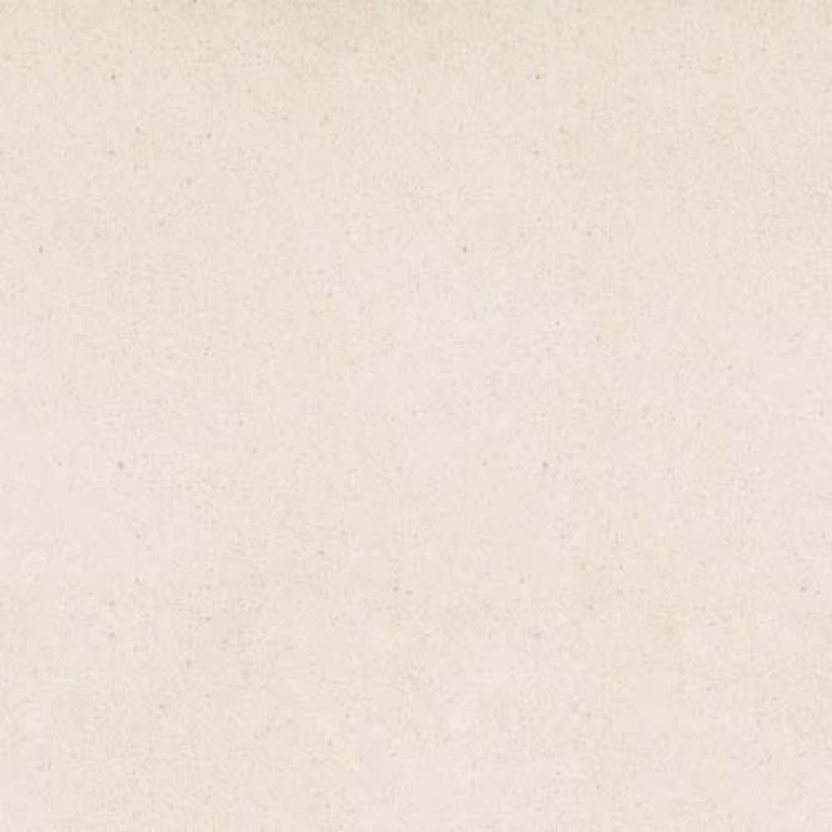 Serene Ivory in Polished 12x24 Natural Stone