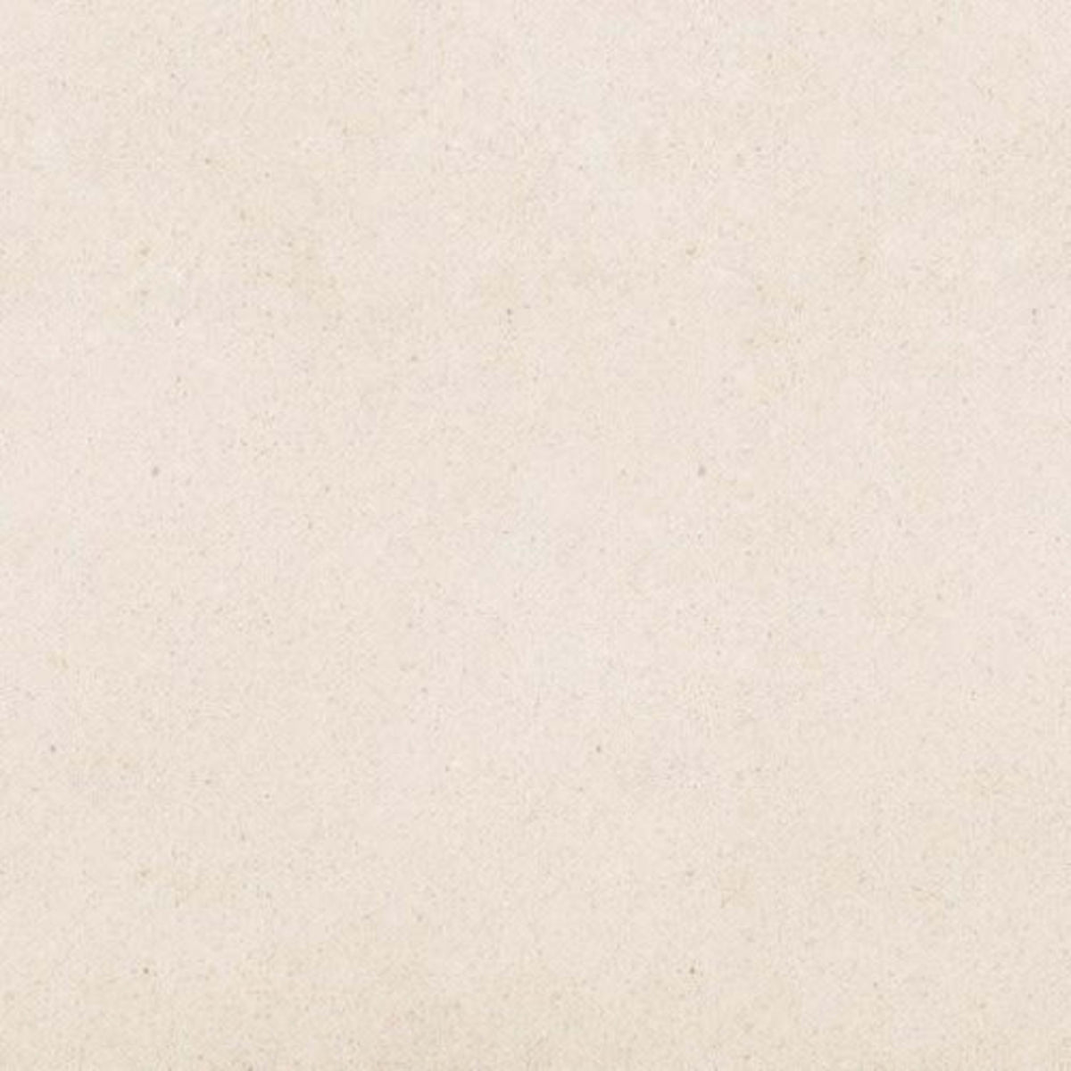 Serene Ivory in Honed 12x24 Natural Stone