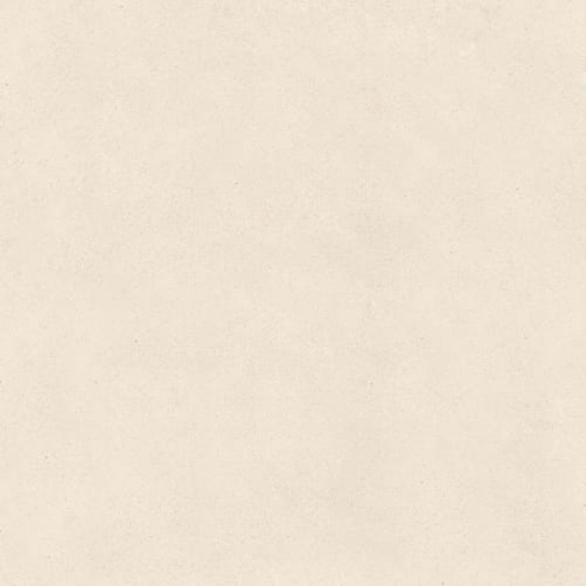 Serene Ivory in Honed 24x24 Natural Stone