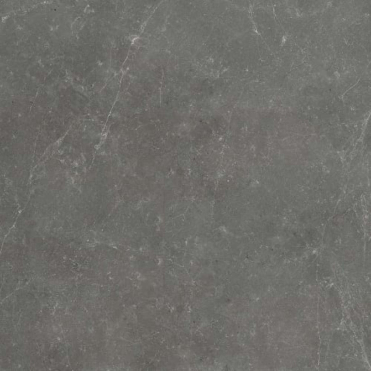 Stark Carbon in Polished 24x24 Natural Stone