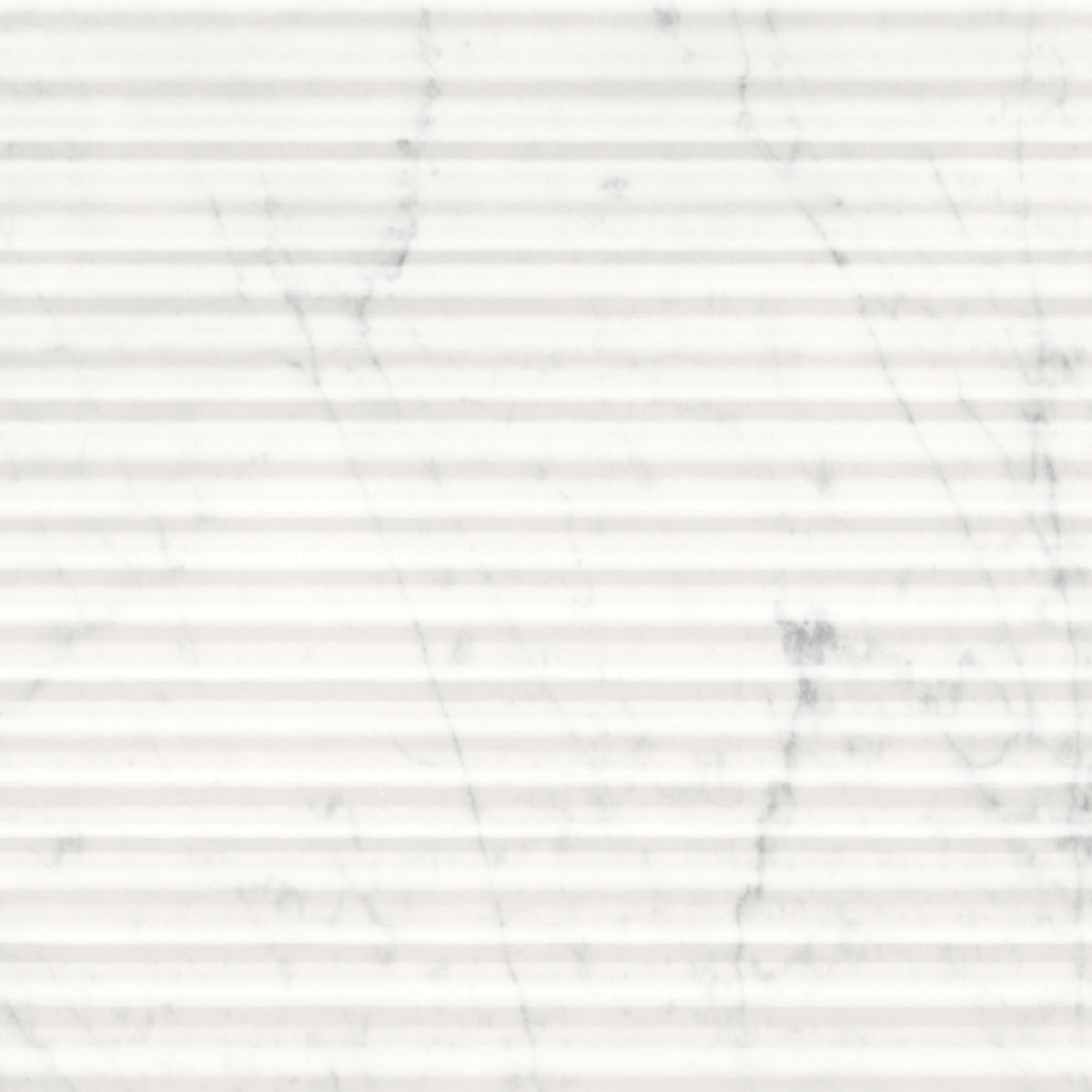 Eterna Bianco in Curva Honed 12x24 Natural Stone