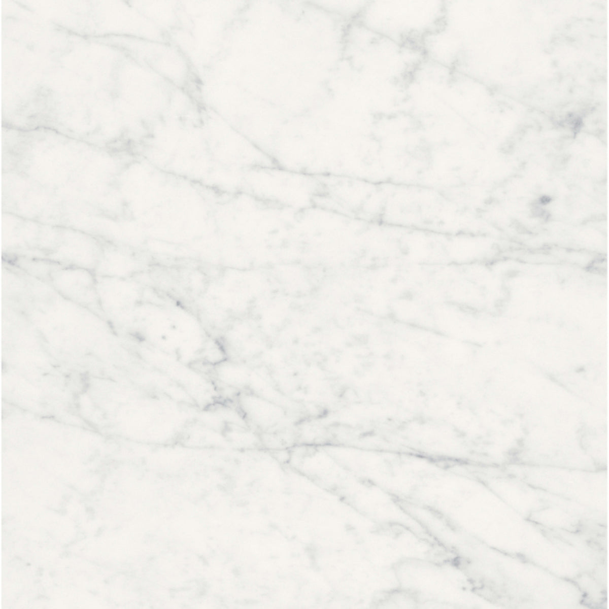 Eterna Bianco in Picket Honed 24in Natural Stone