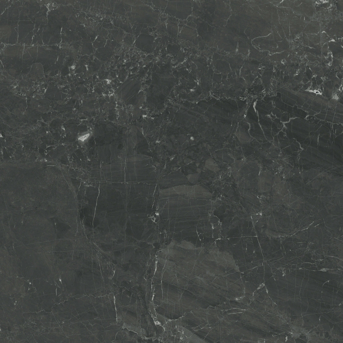 Galaxia Nero in Polished 12x24 Natural Stone
