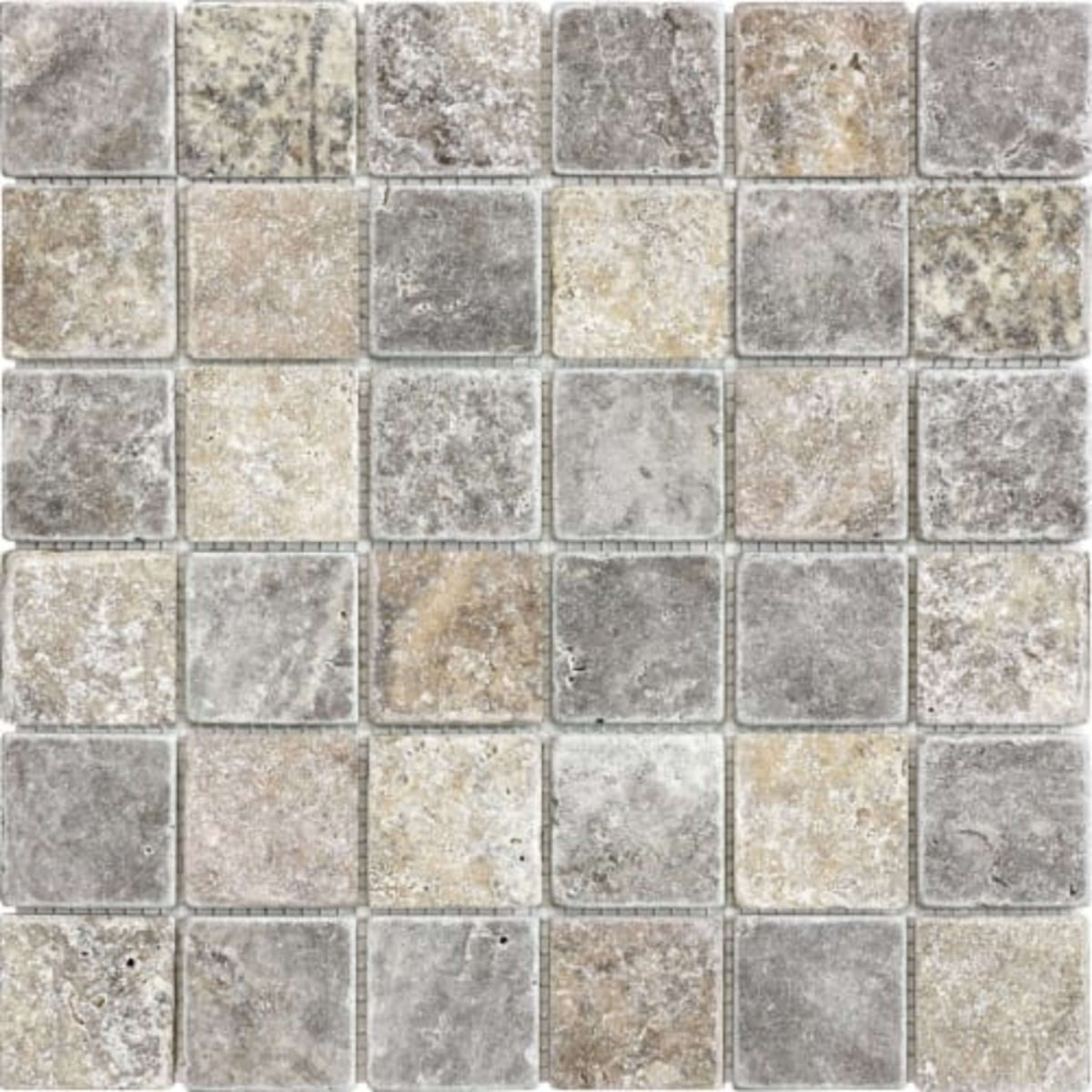 Silver Ash in 2x2 In Tumbled Natural Stone