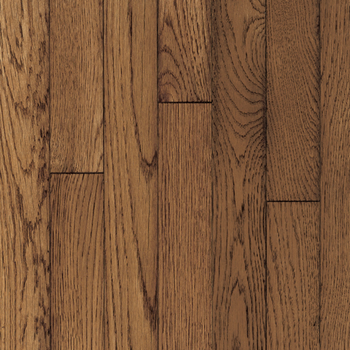 Ascot Plank Red Oak Solid in Sable Hardwood