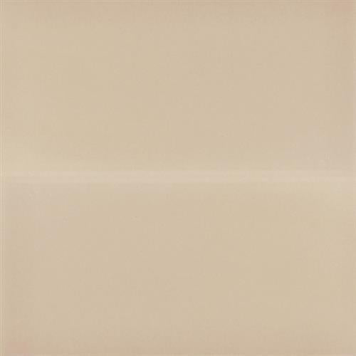 Color Palette - Gloss in Sugar Cookie Gloss 8x16 Natural Stone