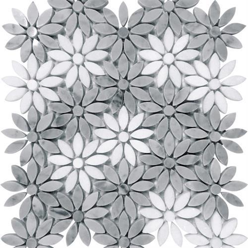 Seattle in Ravenna Natural Stone