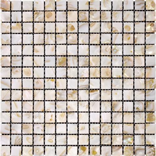 Shell in Naples Natural Stone
