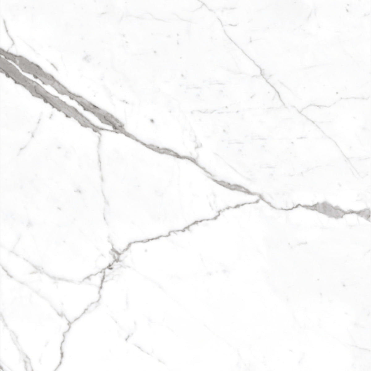 Calacatta Pearl in Satin Matte 12x24 Tile