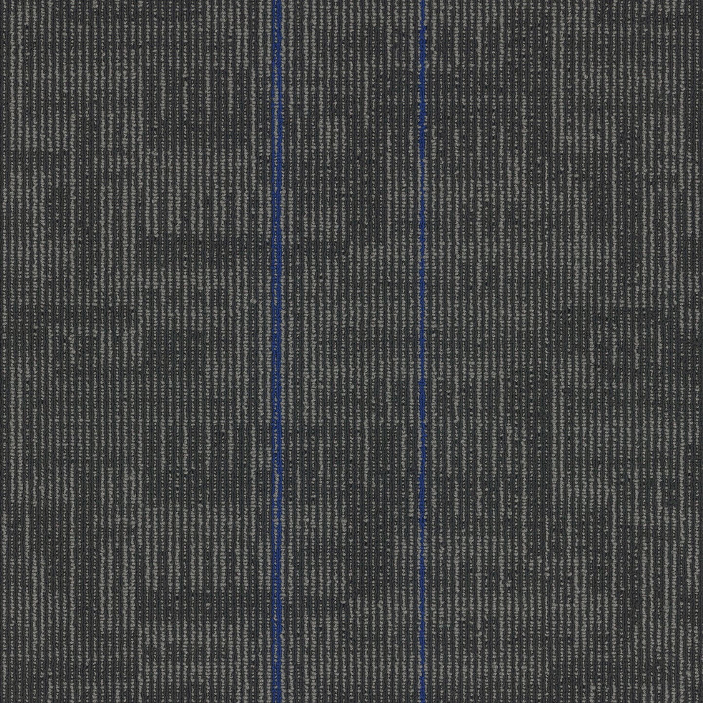 Echo Plank