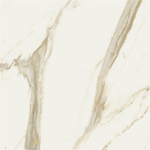 Stratus in Oro Polished - 24x48 Tile